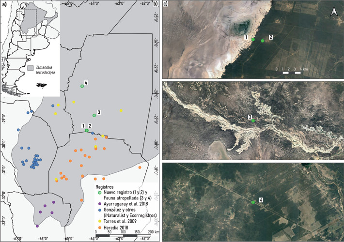 Mapa de los registros de Tamandua tetradactyla en el Chaco Árido de Argentina