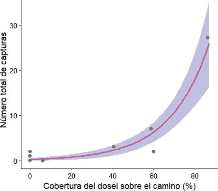 Chart showing the number of bat captures as a function of canopy cover above a trail in central Chile (Escobar & Villaseñor, 2025)