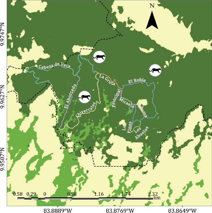 Mapa del Parque Nacional Volcán Irazú, sector Prusia (Costa Rica), mostrando senderos estudiados y los lugares donde se detectó presencia de Puma concolor