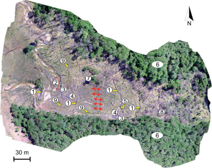Ortofotomosaico georreferenciado de un área de actividad de castores relevada con VANT, en Tierra del Fuego, Argentina