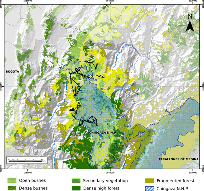 Nearest-neighbor convex-hull home range estimate for a male Andean bear in Chingaza, Colombia