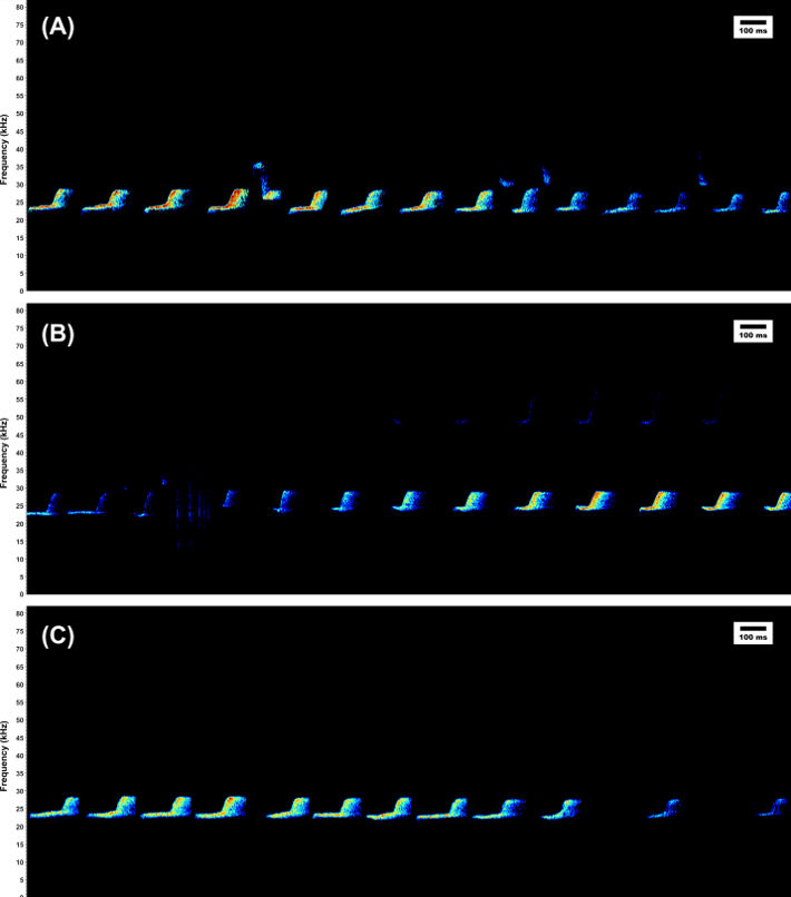 Echolocation calls of Promops centralis recorded in Ilha Grande, Rio de Janeiro State (Brazil)