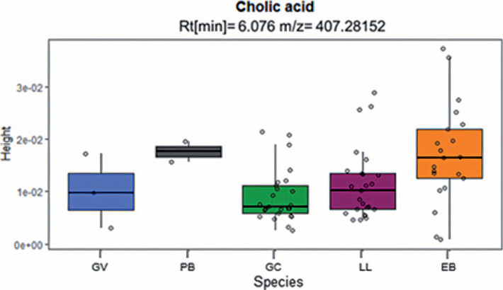 Boxplots showing cholic acid intensity variation in five Neotropical mustelids