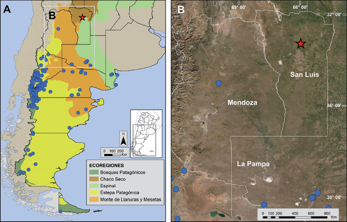 Mapa de las localidades de registro de Oligoryzomys longicaudatus en Argentina