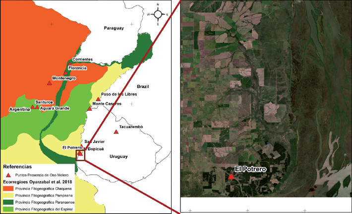 Ubicación de nueva localidad de registro de Tamandua tetradactyla en el Km 34 de la RN N°136 (punto rojo), en Entre Ríos, Argentina.