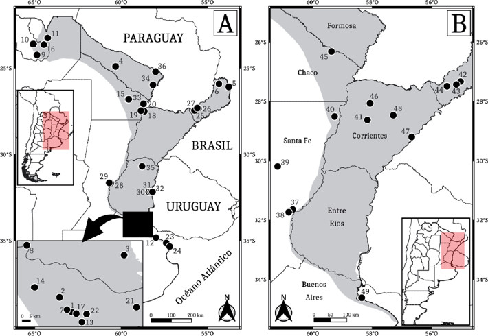 Registros históricos (A) y nuevos (B) para Cryptonanus chacoensis en la República Argentina.